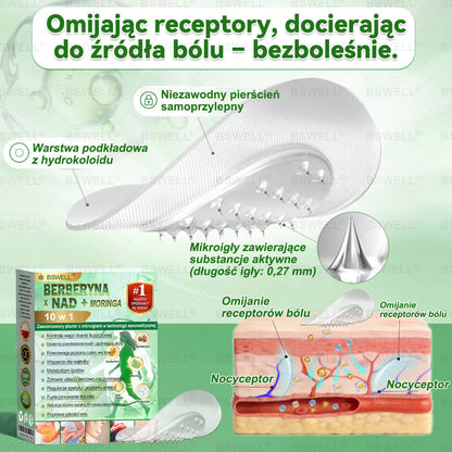 🫀 BSWELL® Nano mikroigłowy plaster wyszczuplający (Raz dziennie, efekty już po 28 dniach ✅ Wspiera odchudzanie, serce, cukrzycę, sen, jelita, stawy i więcej.